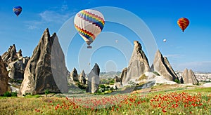 Hot air balloons flying over a field of poppies, Cappadocia, Turkey photo