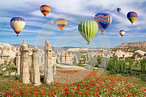 Hot air balloons flying over a field of poppies and rock landscape in Love valley at Cappadocia