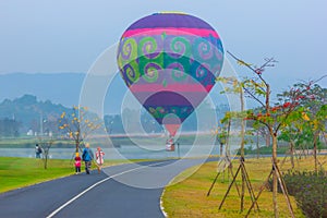 Hot air balloons flying over Flower field with sunrise at Chiang Rai Province, Thailand