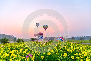 Hot air balloons flying over Flower field with sunrise at Chiang Rai Province, Thailand