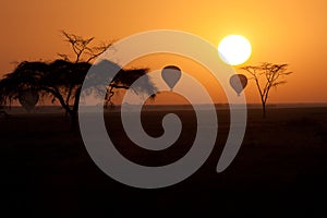 Hot Air Balloons flying over Serengeti Tanzania at