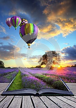 Hot air balloons lavender landscape magic book