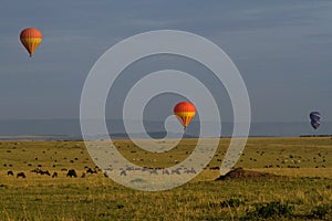 Hot air balloons over endless plains photo