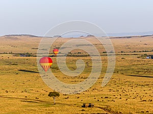 Hot air balloons over the Masai Mara photo