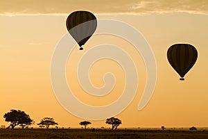 Hot Air Balloons over the Serengeti