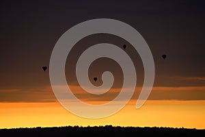 Hot air balloons over woods on the sunset sky background