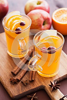 Hot apple orange cider with cinnamon spice warming drink
