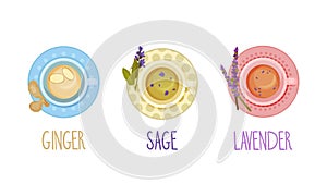 Hot aromatic tea set. Top view of teacup with ginger, sage, lavender tea vector illustration