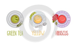 Hot aromatic tea set. Top view of teacup with green, yellow, hibiscus tea vector illustration