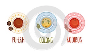 Hot aromatic tea set. Top view of teacup with pu-erh, oolong, rooibos tea vector illustration