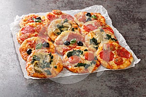 Hot assorted mini pizza or Pizzette with various toppings close-up on parchment. horizontal photo