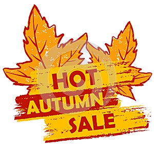 Hot autumn sale with leaves, orange and brown drawn label