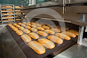 Hot baked breads on a line