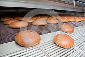 Hot baked breads on a line