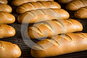 Hot baked breads on a line