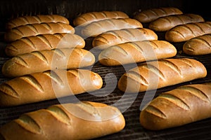 Hot baked breads on a line