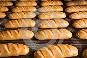 Hot baked breads on a line