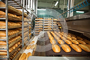 Hot baked breads on a line