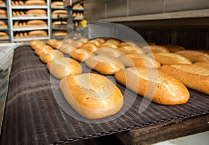 Hot baked breads on a line