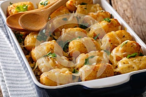 Hot Baked Tater Tots with cheese, meat, corn and parsley close-up in on the table. horizontal