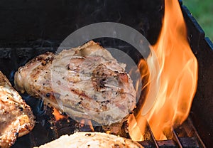 Hot Barbeque chicken in the fire on the Barbque photo