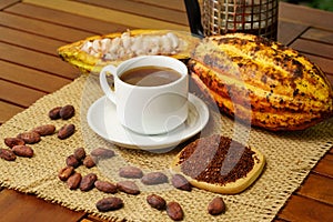 Hot brewed cacao drink, raw cocoa fruit, cacao beans, nibs