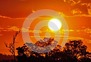 Hot burning sun Australian outback summer photo