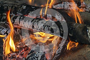 Hot campfire flames up close, Burning fire wood background.