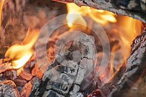 Hot campfire flames up close, Burning fire wood background.