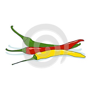 Hot Chili Pepper Isolated on White