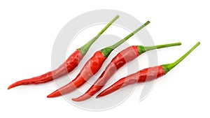 Hot chili pepper or small chili padi, line up, isolated on white