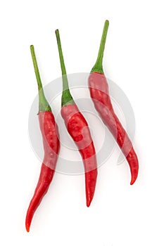 Hot chili pepper