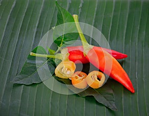 Hot chili peppers on a banana leaf  ,chili, chilli, pepper
