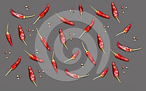 Hot chili peppers on dark background. Ingredients for cooking seasoning or food background. Creative space for design. photo