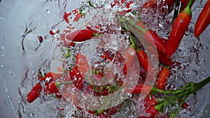 Hot chili peppers fall into water