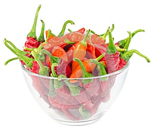 Hot chili peppers in glass bowl isolated