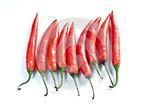 Hot chili peppers on white