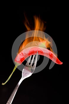 Hot chilli - Chilli pepper on fork in flames