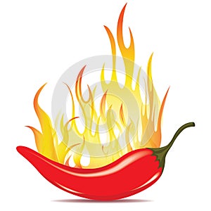 Hot chilli pepper in fire photo