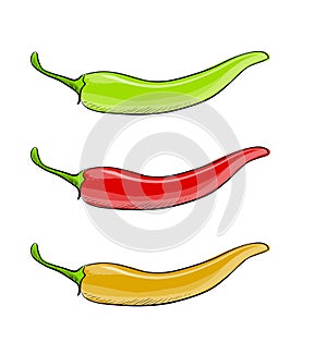 Hot chilli pepper vector set isolated on white background.