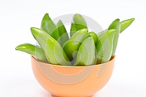 Hot Chillies (Jalapenos) in Bowl