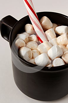 Hot Chocolate with Candy Cane