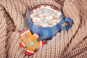 Hot chocolate or cocoa with marshmallows. Hot winter drink and gingerbread man