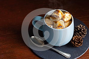 Hot Chocolate or Cocoa Topped with Toasted Marshmallows in Mug