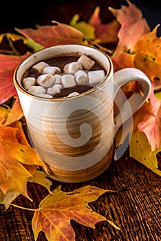 Hot Chocolate in the Fall with marshmellows