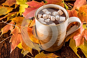 Hot Chocolate in the Fall with marshmellows