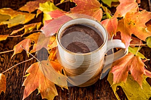 Hot Chocolate in the Fall