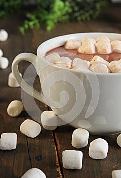 Hot chocolate and marshmallow