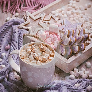 Hot Chocolate with Marshmallow candies. Warming holiday drink with gingerbread cookies. Warm Christmas.