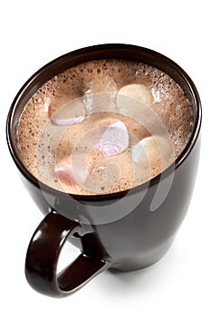 Hot Chocolate with Marshmallows